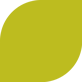 rectangle-green